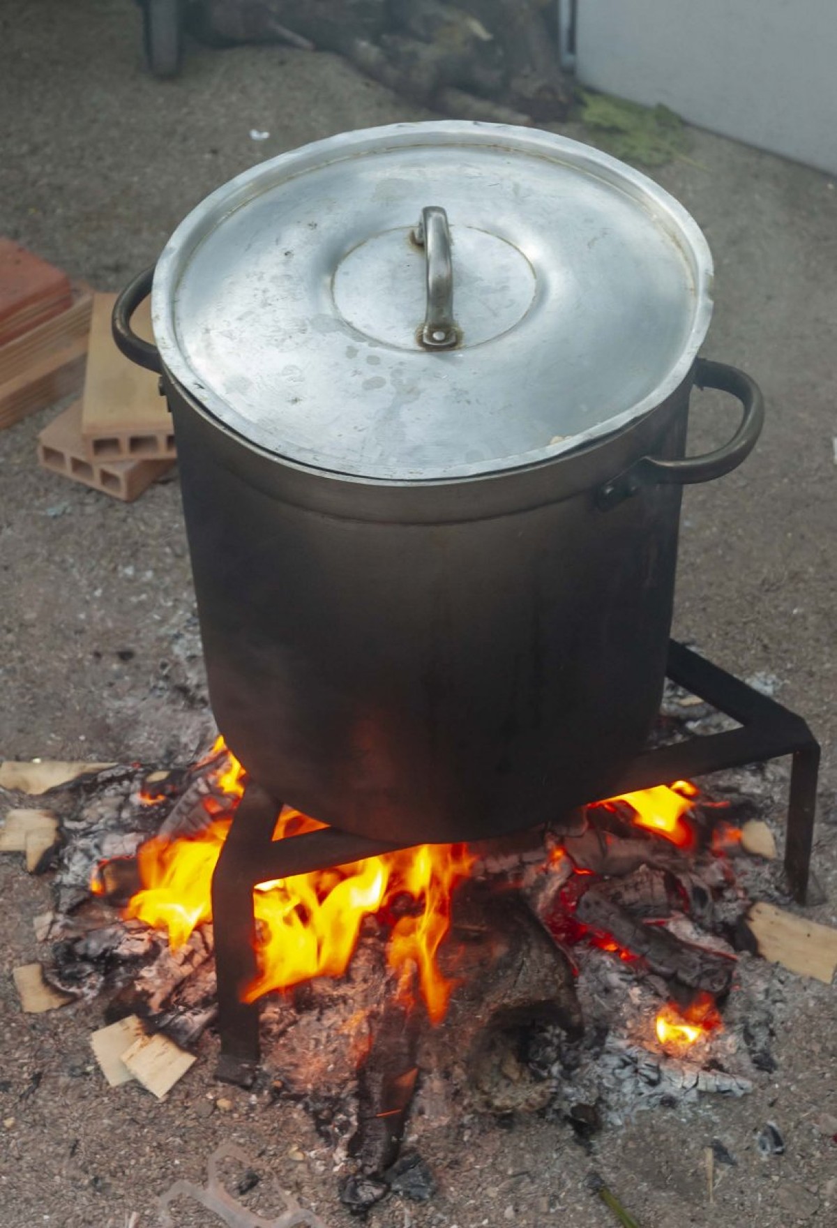 50 ANYS FENT OLLETA ALCOIANA